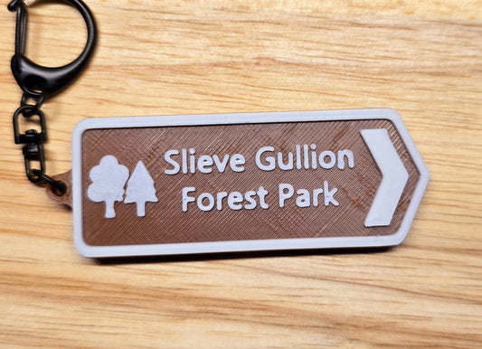 Slieve Gullion Road Sign Souvenir - 3D Printed Keyring