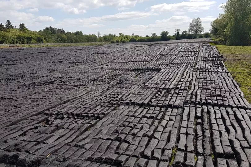 Irish Turf spread on a field to dry