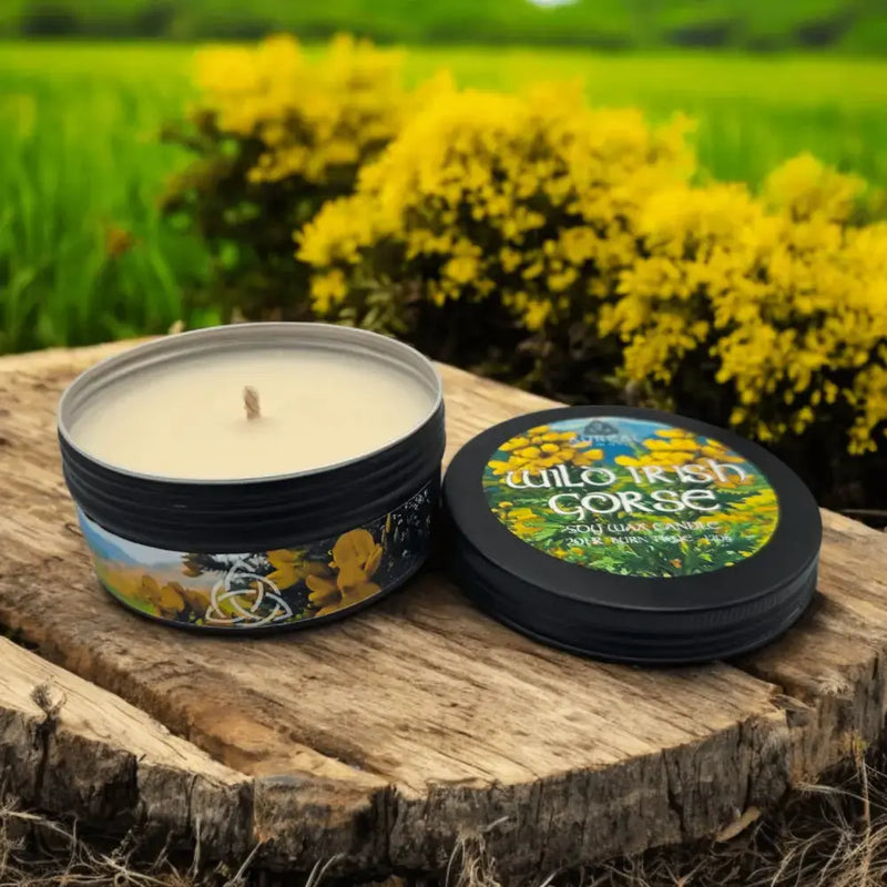 Wild Irish Gorse - Atmospheric Soy Irish Candle